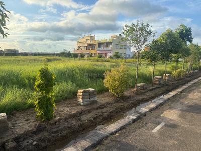 A-Zone Plot View 2