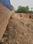 Naubatpur Plot View 2