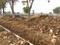 Dongargaon Main Image 1