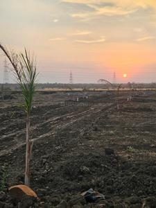 Image of 7800 Sq.ft Residential Plot / Land for sale in Sukhi Sewania, Bhopal for Rs. 4875000
