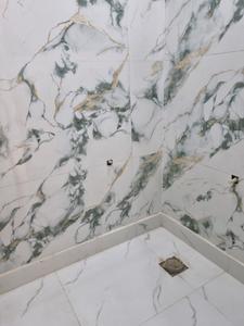 Common Bathroom Image of 620 Sq.ft 2 BHK Apartment / Flat for sale in Saarthi Affordable Homes by Saarthi Builders, Nawada New Delhi for Rs. 3900000