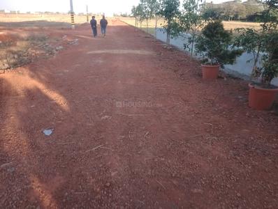 Satyabhamapur Plot View 2