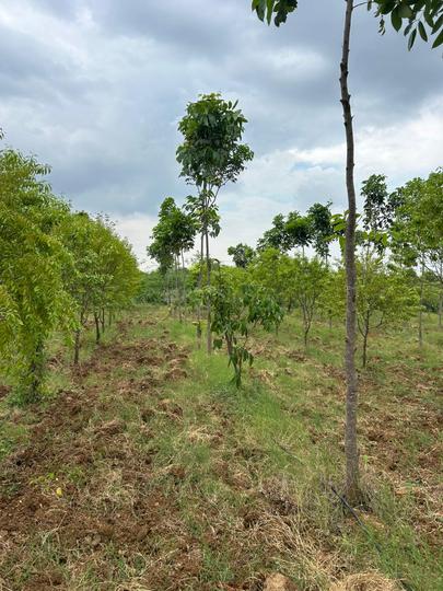 Vinukonda Main Image 1