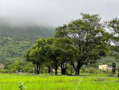 Image of 3165 Sq.ft 4 BHK Villa for sale in Samarth Lonavalas Finest Phase 1, Valvan, Lonavala for Rs. 20700000