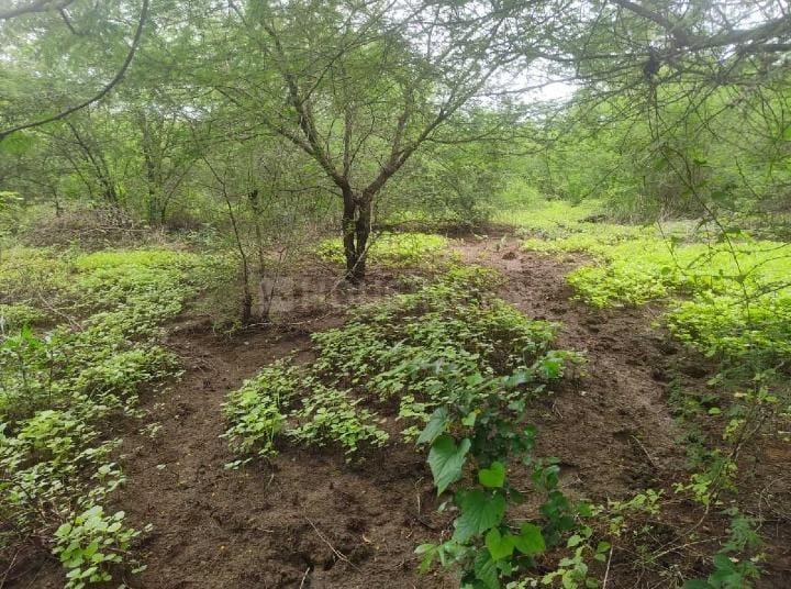 Tarapur More Images 1