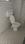 Bathroom Image of NAVKAR in Ghansoli, Navi Mumbai