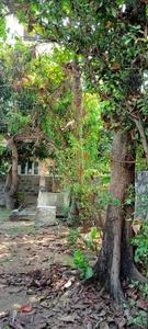 Image of 6200 Sq.ft Residential Plot / Land for sale in Navalur, Chennai for Rs. 55000000