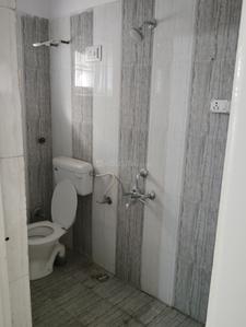 Bathroom Image of 1200 Sq.ft 2 BHK Apartment / Flat for rent in Vatsala Paradise, Sarvodaya Nagar Jabalpur for Rs. 15000