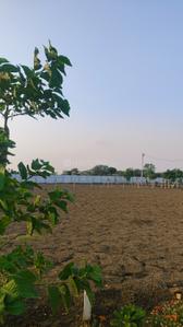 Image of 5000 Sq.ft 2 BHK Farm House for sale in Phanda Kala, Bhopal for Rs. 3800000