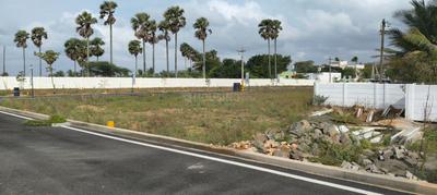Kurichi Plot View 3
