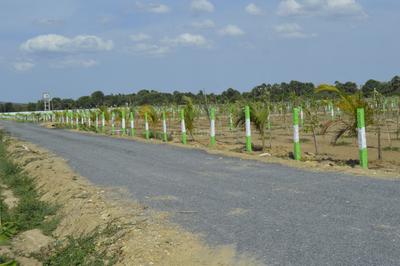 Image of 9600 Sq.ft Residential Plot / Land for sale in Chengalpattu, Chennai for Rs. 2400000