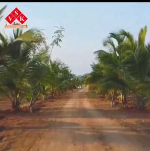 Image of 10890 Sq.ft Residential Plot / Land for sale in Sirumugai, Coimbatore for Rs. 4990000