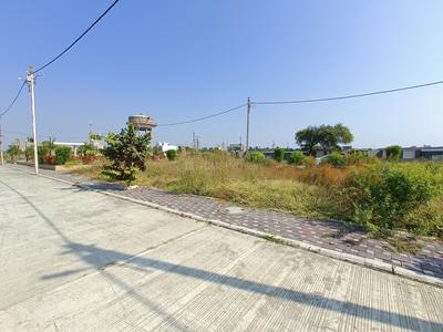 Residential Plot