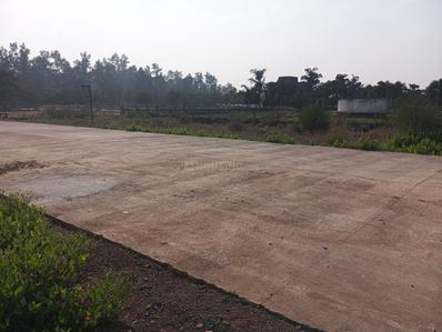 Pacheda 1 Plot View 2
