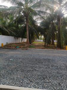 Bhogapuram Plot View 1