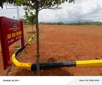 Annur Plot View 1