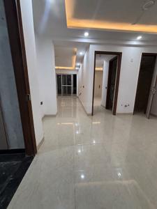 Hall Image of 741 Sq.ft 2 BHK Builder Floor for rent in Saket New Delhi for Rs. 18000
