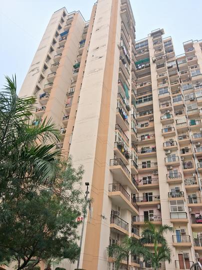 Sector 75 Building View 1