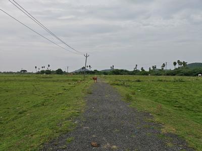Image of 875 Sq.ft Residential Plot / Land for sale in Chengalpattu, Chennai for Rs. 1311625