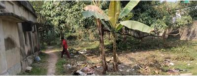 Sangrampur Basirhat Plot View 3
