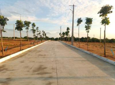 Residential Plot