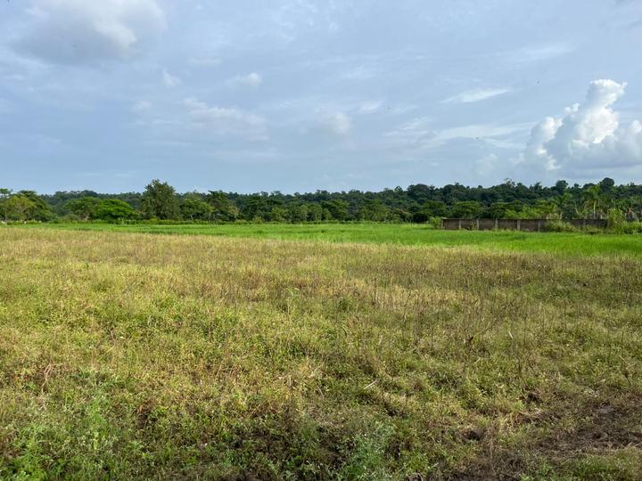 Chatrasal Nagar, Sector B Main Image 1