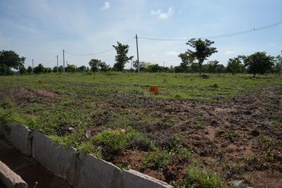 Residential Plot