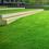 Thaltei Plot View 2