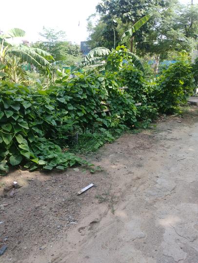 Sector 102 Main Image 1