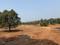 cityprop plot in Hamrapur Plot View 2