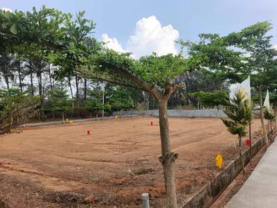 Thyme Park Plot View 2