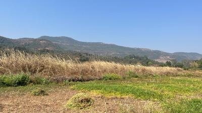 Image of 83590 Sq.ft Residential Plot / Land for sale in Mahad, Raigad for Rs. 7000000