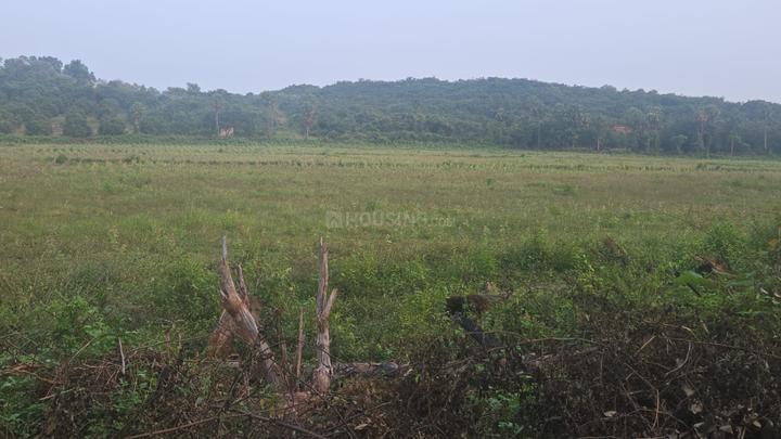 Bhoomatha Real Estates And Developers Amaravati Green City Main Image 1