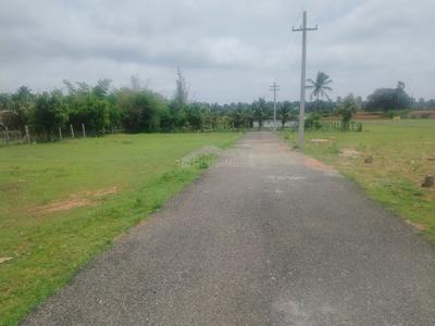 Image of 1200 Sq.ft 1 BHK Apartment / Flat for sale in Othakalmandapam, Coimbatore for Rs. 525000
