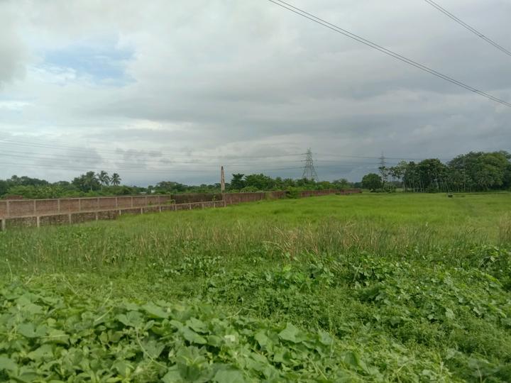 Residential plot Sonarpur Main Image 1