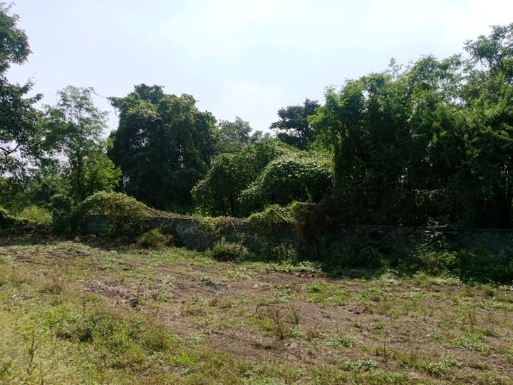 GREEN ENCLEVE Main Image 1