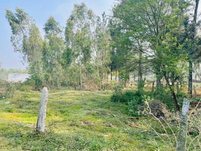 Image of 4000 Sq.ft Residential Plot / Land for sale in Nelamangala, Bengaluru for Rs. 20000000