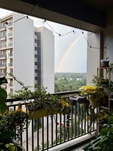 Balcony Image of 1500 Sq.ft 3 BHK Apartment / Flat for rent in Orchid Piccadilly, Chokkanahalli Bengaluru for Rs. 60000