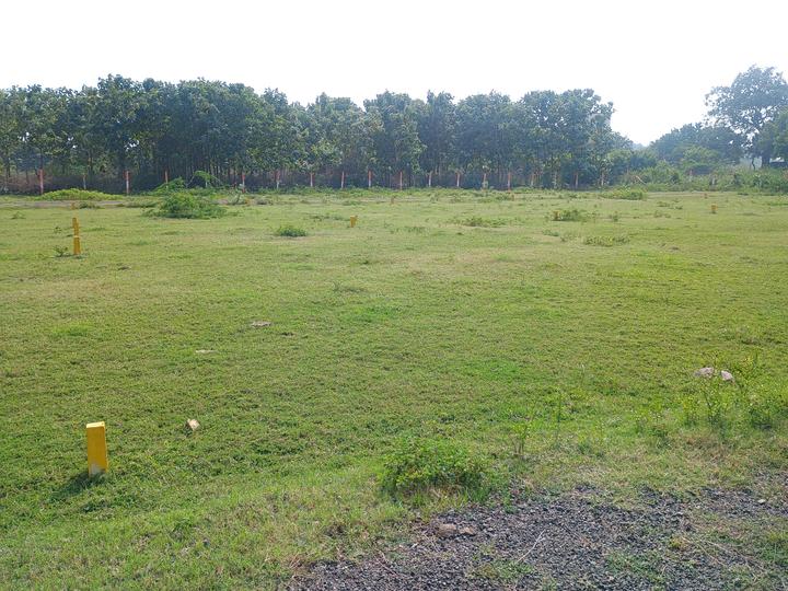 Alapakkam, Chengalpattu Main Image 1