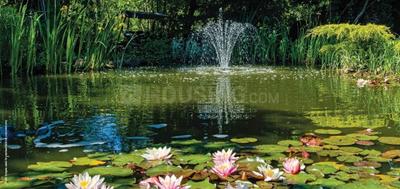 Image of 2288 Sq.ft 4 BHK Apartment / Flat for sale in Godrej Blue, New Alipore, Kolkata for Rs. 50000000