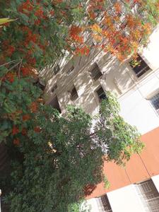 Image of 1000 Sq.ft 2 BHK Apartment / Flat for sale in Trimurti Orean, Baner, Pune for Rs. 8500000