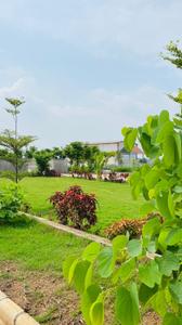 Image of 1100 Sq.ft Residential Plot / Land for sale in Pirda-2, Raipur for Rs. 2750000