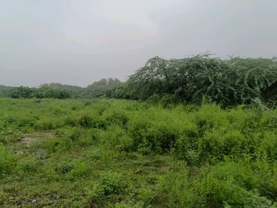 Image of 32 Sq.ft Residential Plot / Land for sale in Puth Khurd, New Delhi for Rs. 7150000