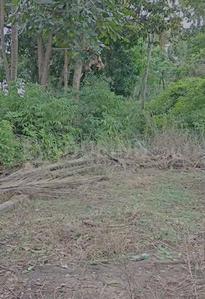 Residential Plot
