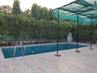 Swimming Pool Image of 12000 Sq.ft 6 BHK Villa for sale in Dkrrish Alaska Farms, Nagli Bahrampur Noida for Rs. 12500000