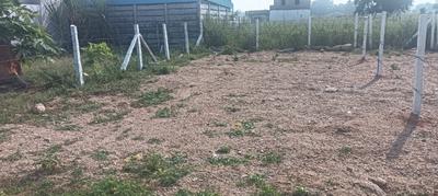 Image of 126 Sq.ft Residential Plot / Land for sale in Chilkur, Hyderabad for Rs. 3654000