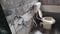 Bathroom Image of sk paying guest services in Ghansoli, Navi Mumbai