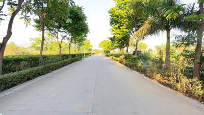 Residential Plot