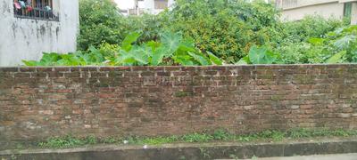 Residential Plot