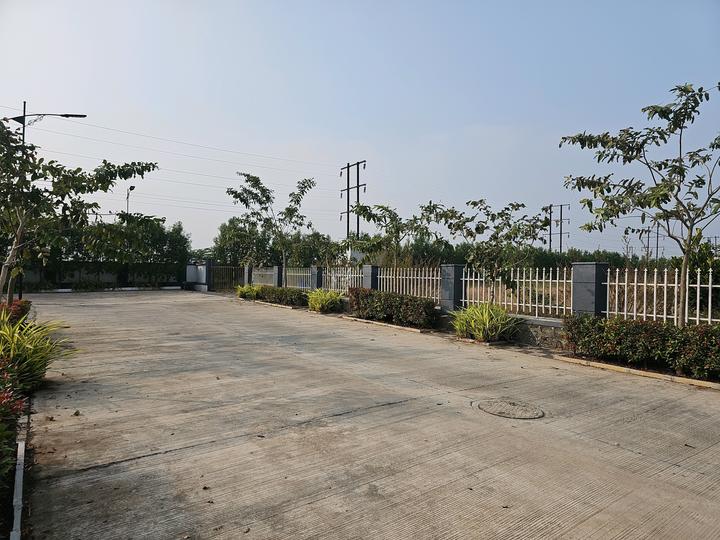 Uruli Kanchan Main Image 1